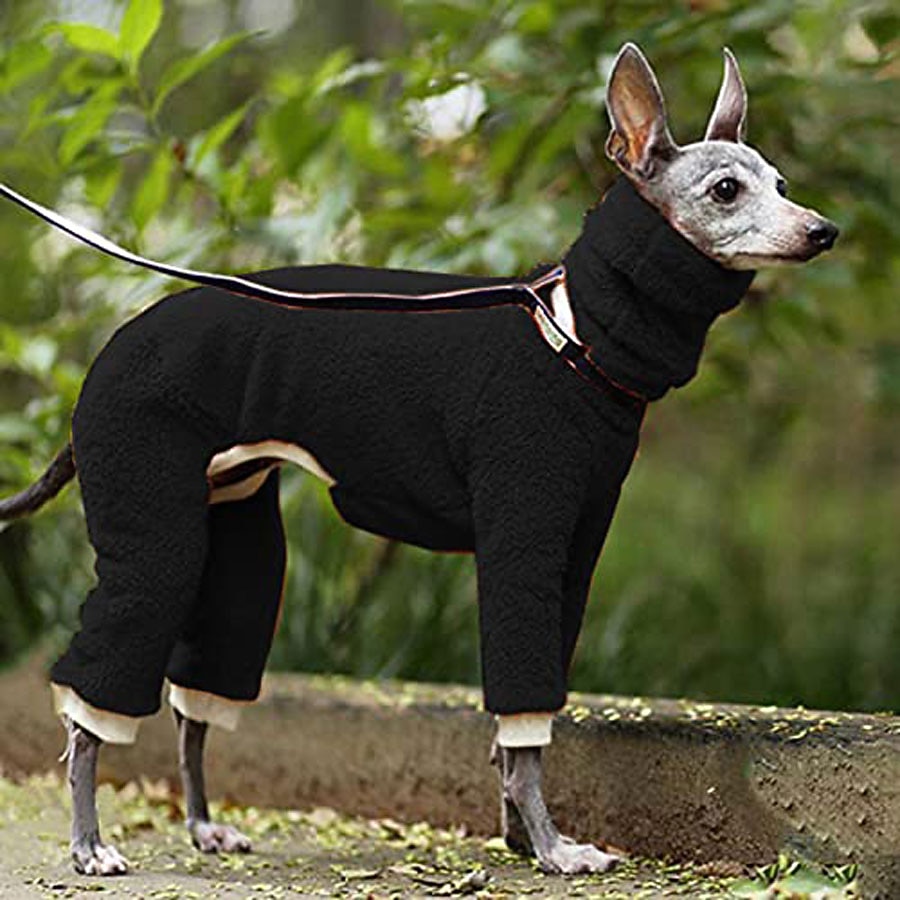 Hund Jumpsuits Mode Stylish Vanlig Klassisk Stil Retro / vintage Höst Vinter Varm Mode Utomhussport Hundkläder for Vinthund 2025 - $21.99 –P4