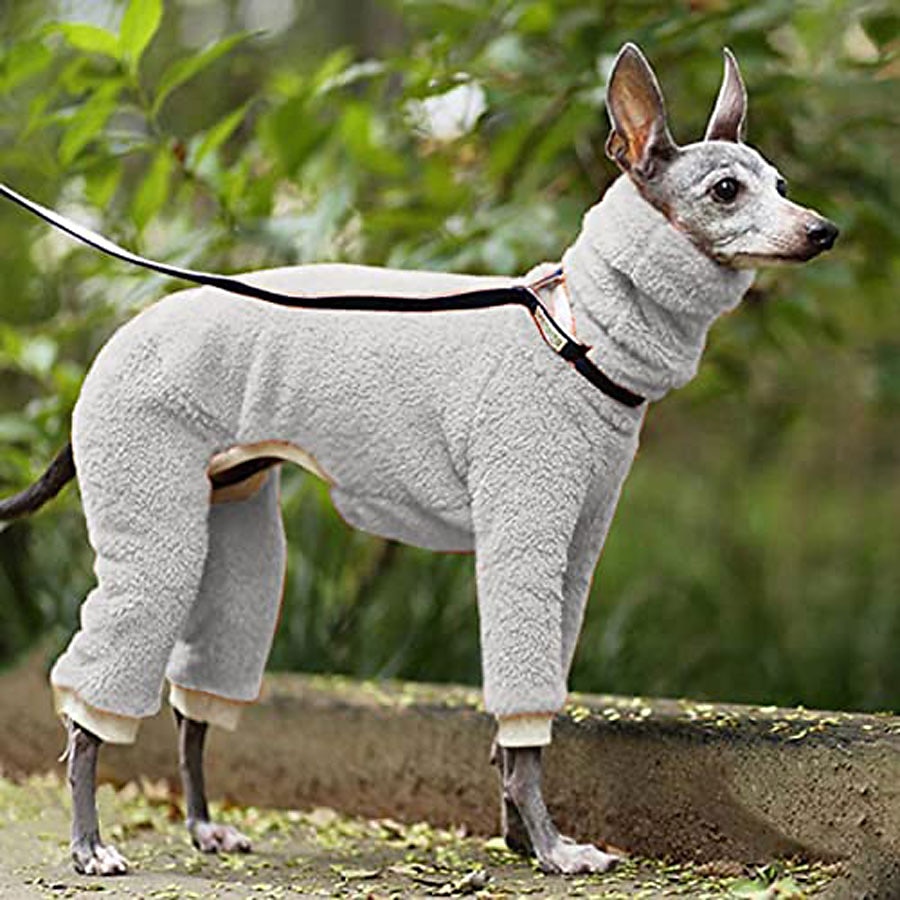 Hund Jumpsuits Mode Stylish Vanlig Klassisk Stil Retro / vintage Höst Vinter Varm Mode Utomhussport Hundkläder for Vinthund 2025 - $21.99 –P3