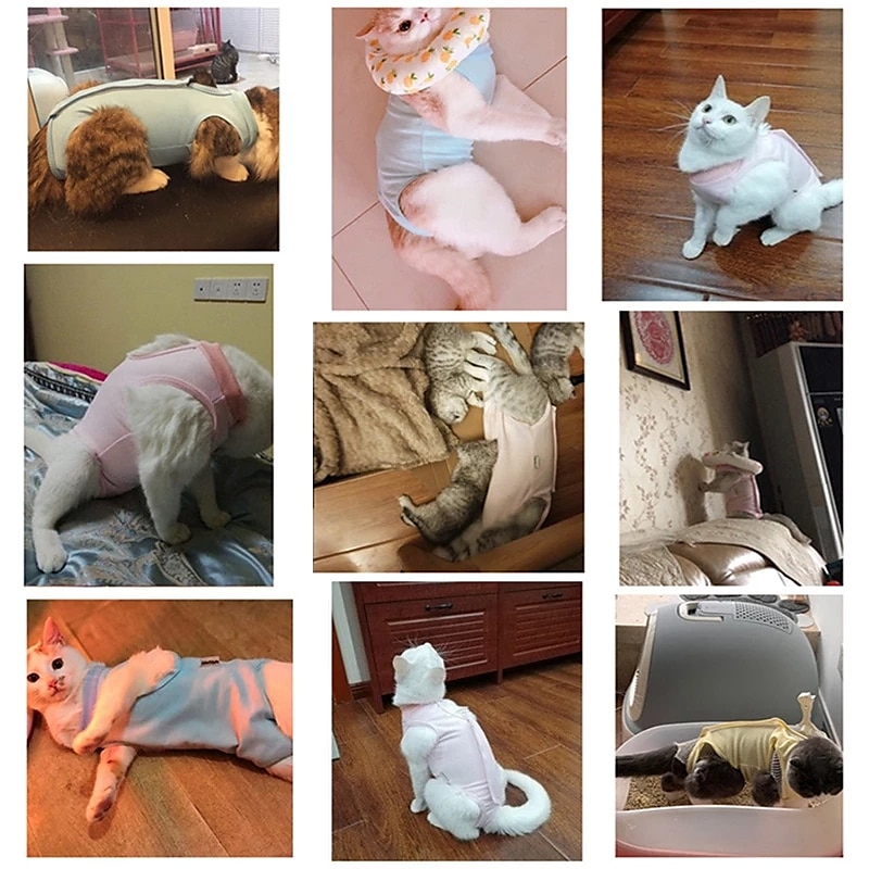 Perros Gatos Traje de recuperación de cirugía Transpirable Suave Cómodo Seguridad Ropa para perros 2025 - $18.99 –P2