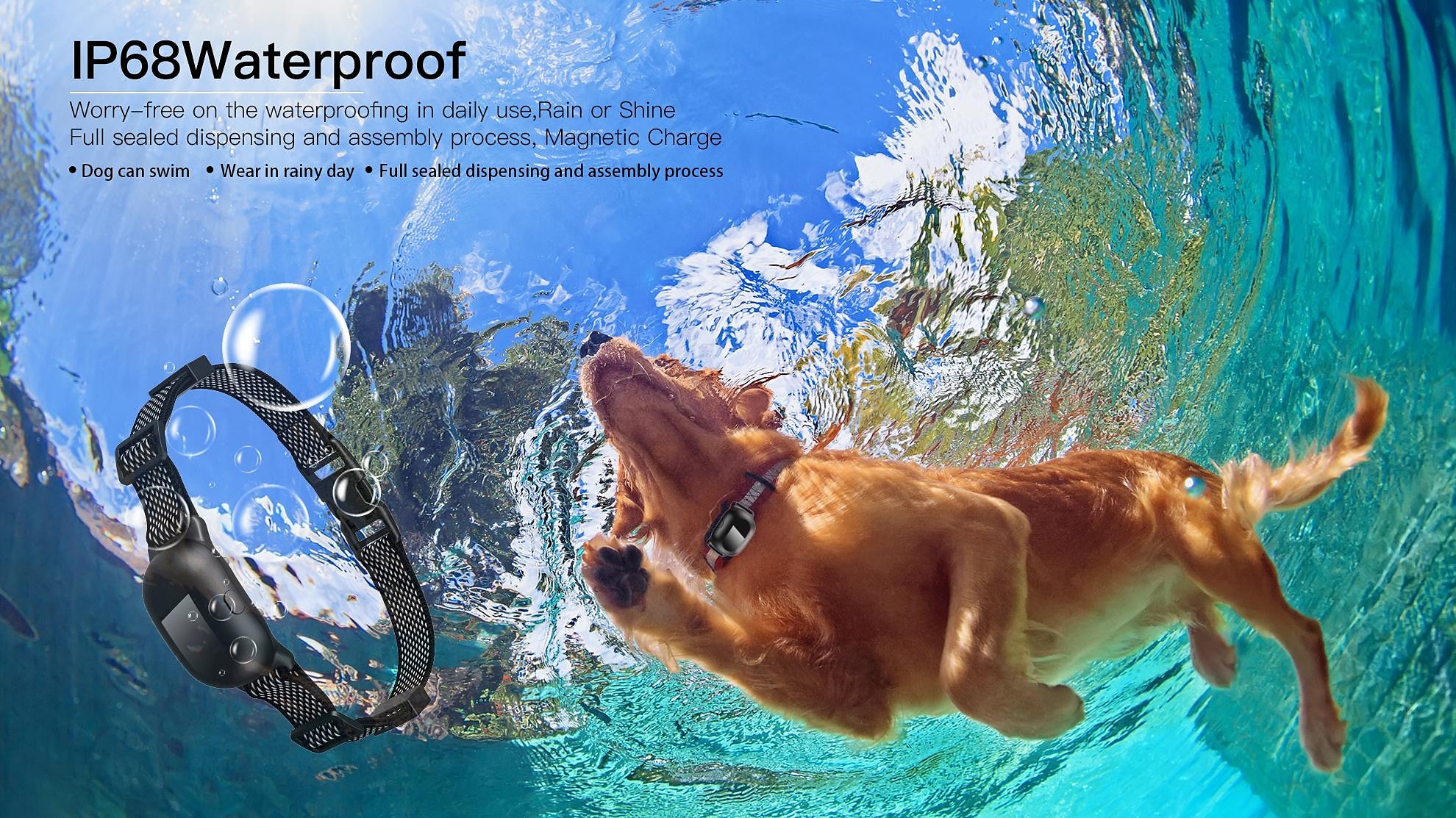 clickers de dressage de chien kits sans fil taille réglable dresseur étanche pour chien nylon de sécurité abs + pc clickers aides au comportement entraînement à l'obéissance pour animaux de compagnie de 2025 ? $56.99 –P5