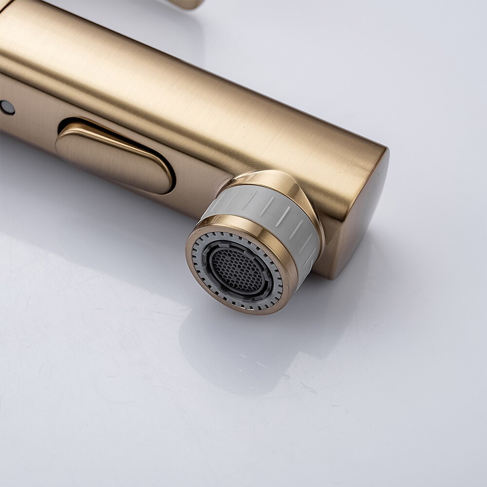 Bathroom Sink Faucet - Pull out / Pullout Spray Electroplated Centerset Single Handle One HoleBath Taps 2025 - $186.99 –P9