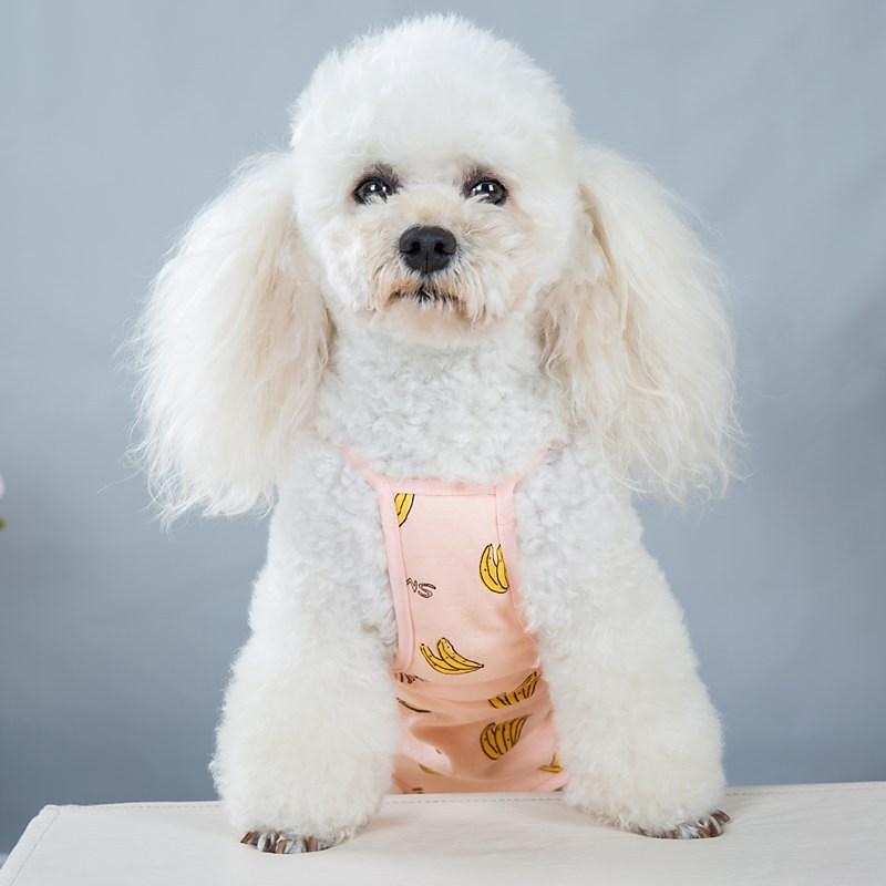 Hunde Katzen Physiologische Hose Einstellbar Hundebekleidung 2025 - $11.49 –P4