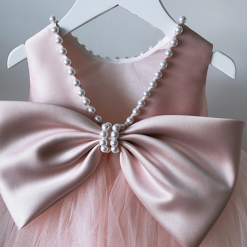 Rochie Fete Flori Fete Rochie Rochie de printesa Nuntă Petrecere Zi de Naștere Drăguţ Prințesă Zdrobit Plasă Mată Fără manșon Stil Nautic Roz Îmbujorat Albastru Deschis 3-10 ani 2025 - $60.99 –P6