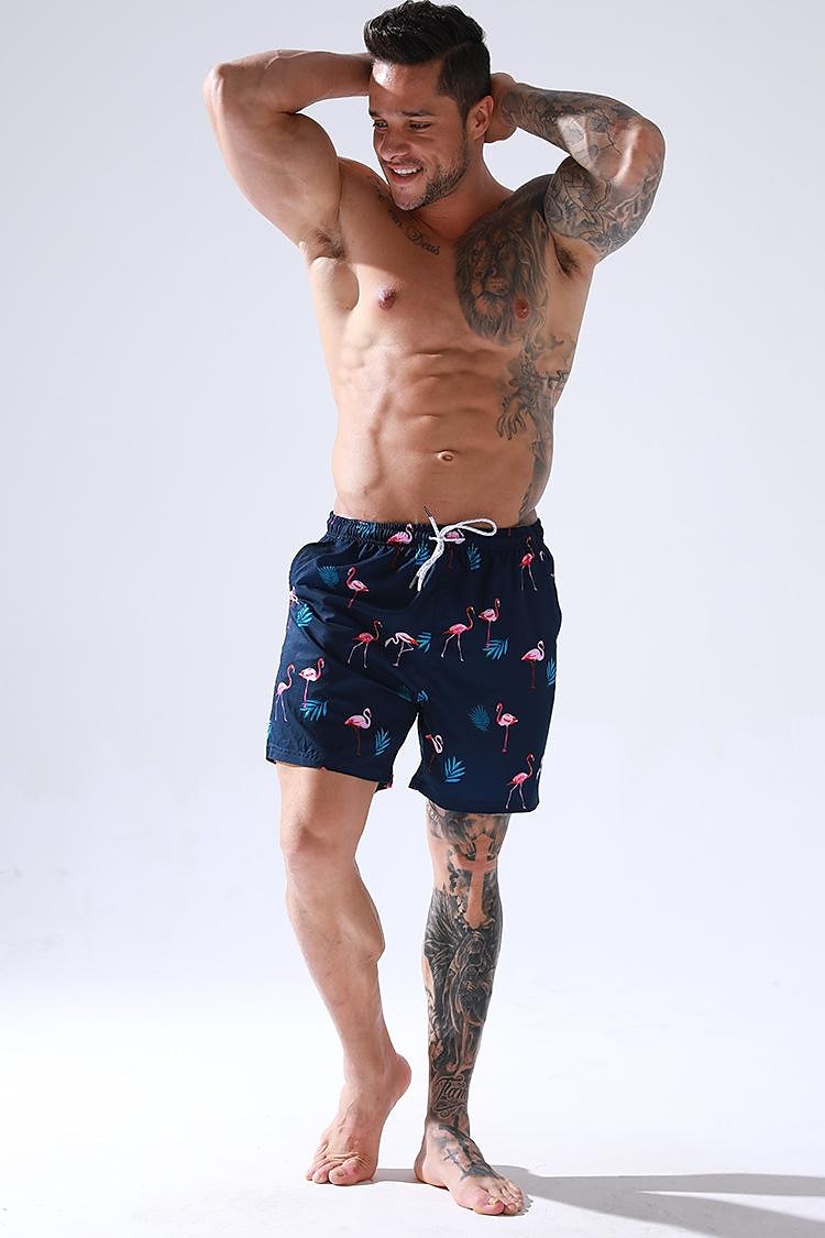 Homme Short de bain Short de Bain Natation Séchage rapide Poids Léger Short de bain Maillot de bain Avec poches Doublure en maille Cordon Natation Surf Plage Sports nautiques Imprimé Eté de 2025 ? $21.99 –P12