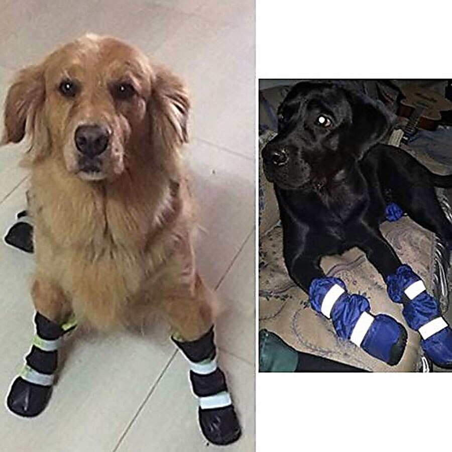 chaussures pour chien, bottes pour chien chaussures imperméables pour grands chiens, bottes pour chien doublure chaude semelle en caoutchouc antidérapante pour la neige hiver, semelle antidérapante de 2025 ? $51.99 –P5