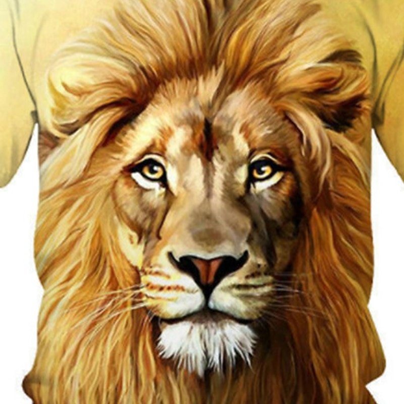 Jungen 3D Tier Löwe T-Shirt Kurzarm 3D-Druck Sommer Frühling Aktiv Sport Modisch kinderkleidung 3-12 Jahre Outdoor Täglich Regular Fit 2026 - $11.99 –P3