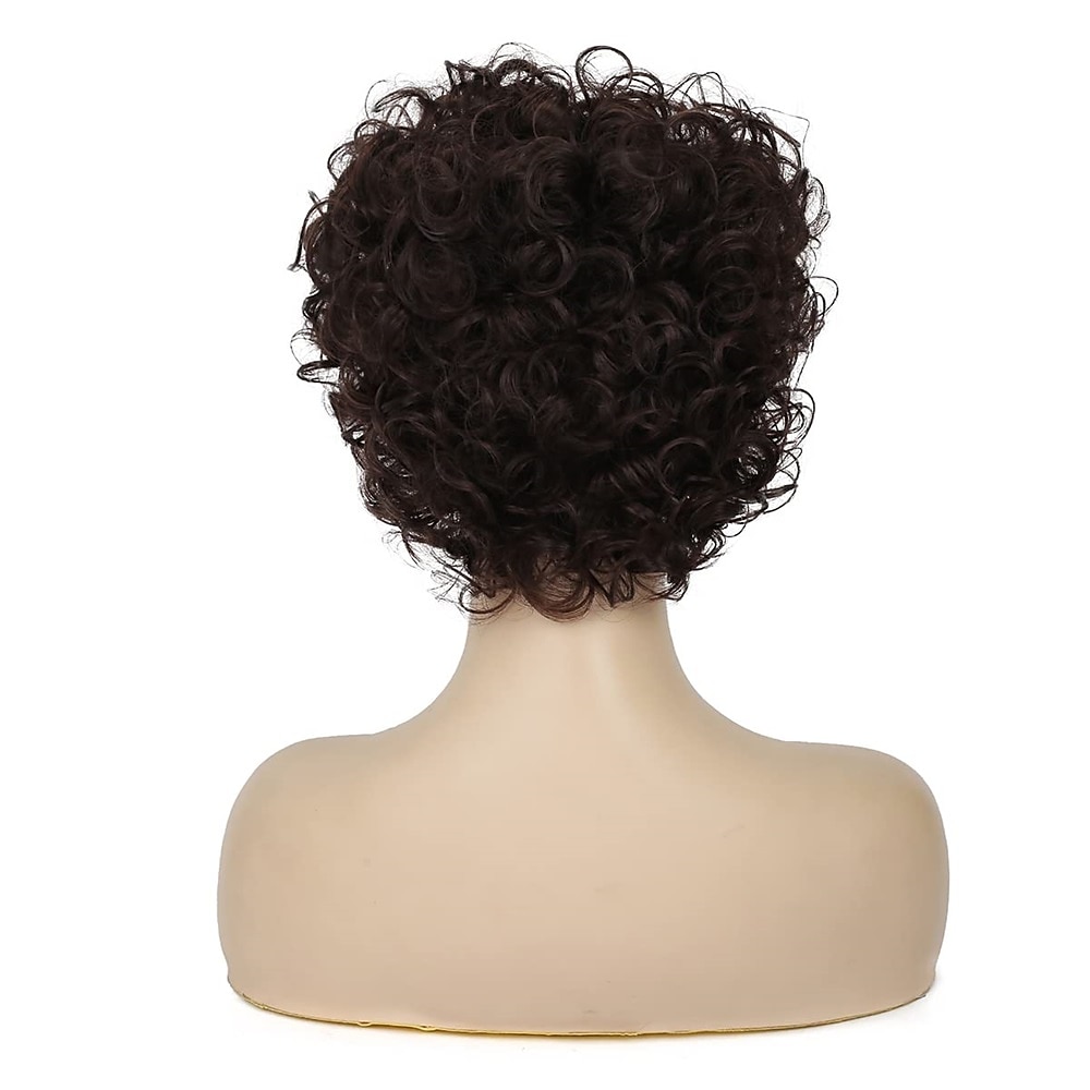 perruques brunes blondes ondulées courtes bouclées pour les femmes remplacement de cheveux synthétiques d'aspect naturel wi de 2025 ? $30.99 –P10