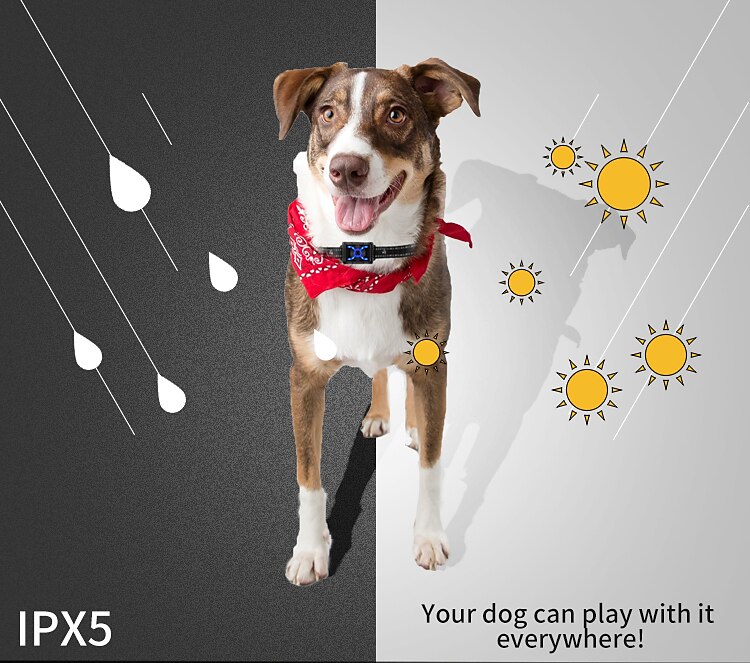 hundetrening clickers fjernstyrt glitrende hundetrener anti bark oppladbar sikkerhet abs+pc clickers atferdshjelpemidler for kjæledyr 2025 - $53.99 –P6