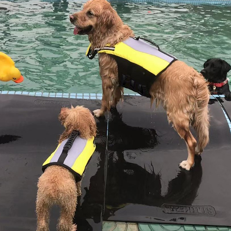 Hund Katze Rettungsweste Hundeschwimmweste Mode Niedlich Reflektierend Verstellbar Weich Waschbar Bequem Outdoor Sport Alltagstauglich Hundebekleidung for Husky Golden Retriever Beagle Shiba Inu 2025 - $30.99 –P1