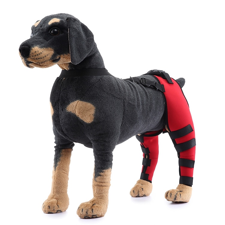 Hunder Tilbehør Mote Justerbare Bekvem Sport og friluftsliv Verneutstyr Sport Fritid / hverdag for Husky golden retriever Bichon Frisé Pommeran 2025 - $27.99 –P2