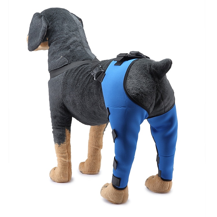 Hunder Tilbehør Mote Justerbare Bekvem Sport og friluftsliv Verneutstyr Sport Fritid / hverdag for Husky golden retriever Bichon Frisé Pommeran 2025 - $27.99 –P13