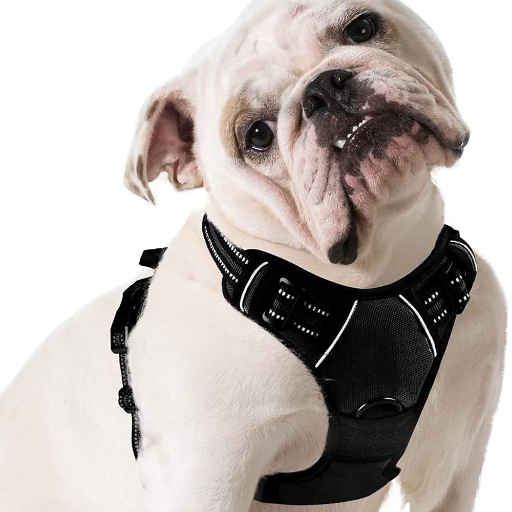 2025年 犬用 小型ペット用 N / A 犬しつけようカラー ハーネス＆リーシュ ハーネス N / A ダブルドッグリーシュ N / A ハスキー犬 ゴールデンレトリバー ダルメシアン ボクサー ドーベルマン  コレクション – $28.99 –P5