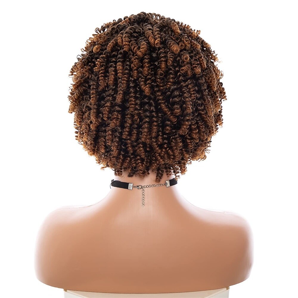 parrucche grigie per donne nere parrucche afro parrucche ricci corti parrucca riccia crespa con frangetta parrucche di capelli naturali del 2025 a $36.99 –P9