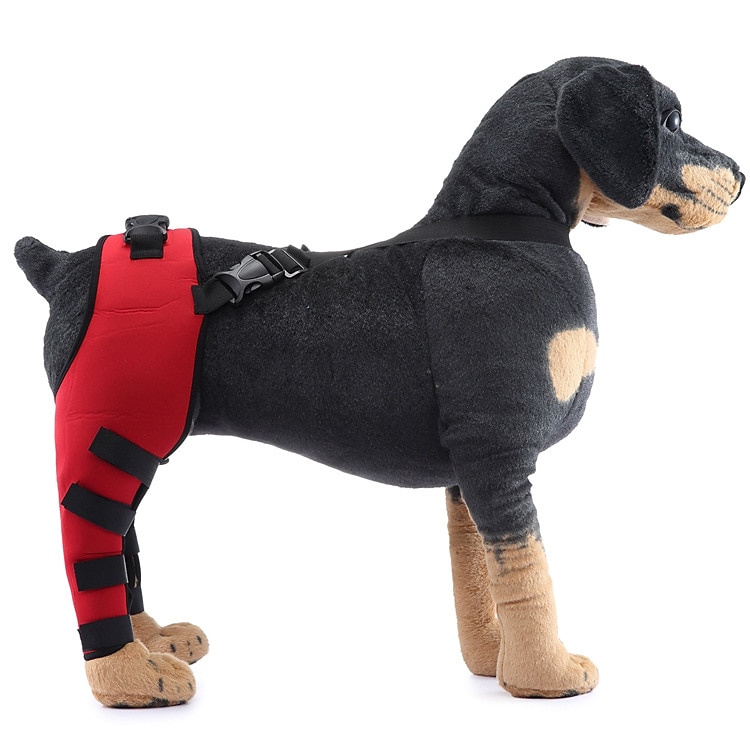 Hunder Tilbehør Mote Justerbare Bekvem Sport og friluftsliv Verneutstyr Sport Fritid / hverdag for Husky golden retriever Bichon Frisé Pommeran 2025 - $27.99 –P5