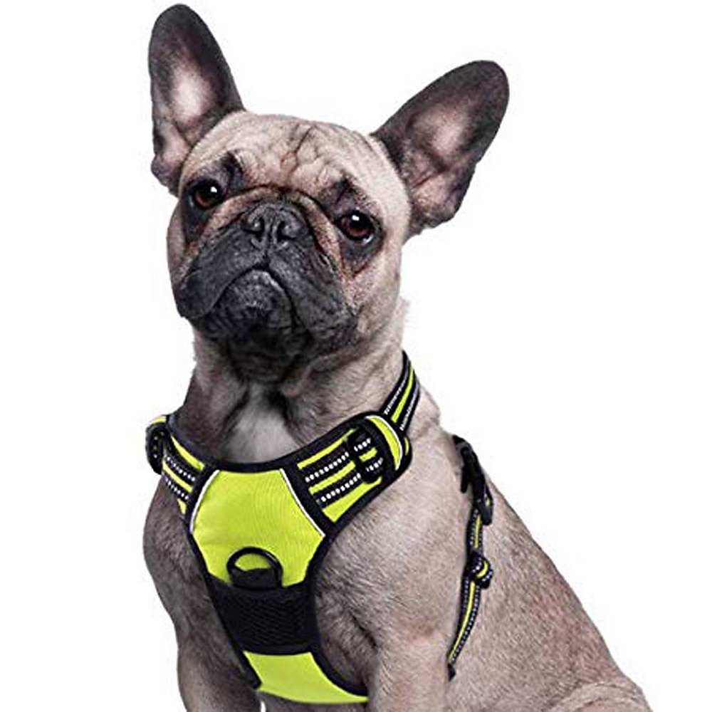 2025年 犬用 小型ペット用 N / A 犬しつけようカラー ハーネス＆リーシュ ハーネス N / A ダブルドッグリーシュ N / A ハスキー犬 ゴールデンレトリバー ダルメシアン ボクサー ドーベルマン  コレクション – $28.99 –P11