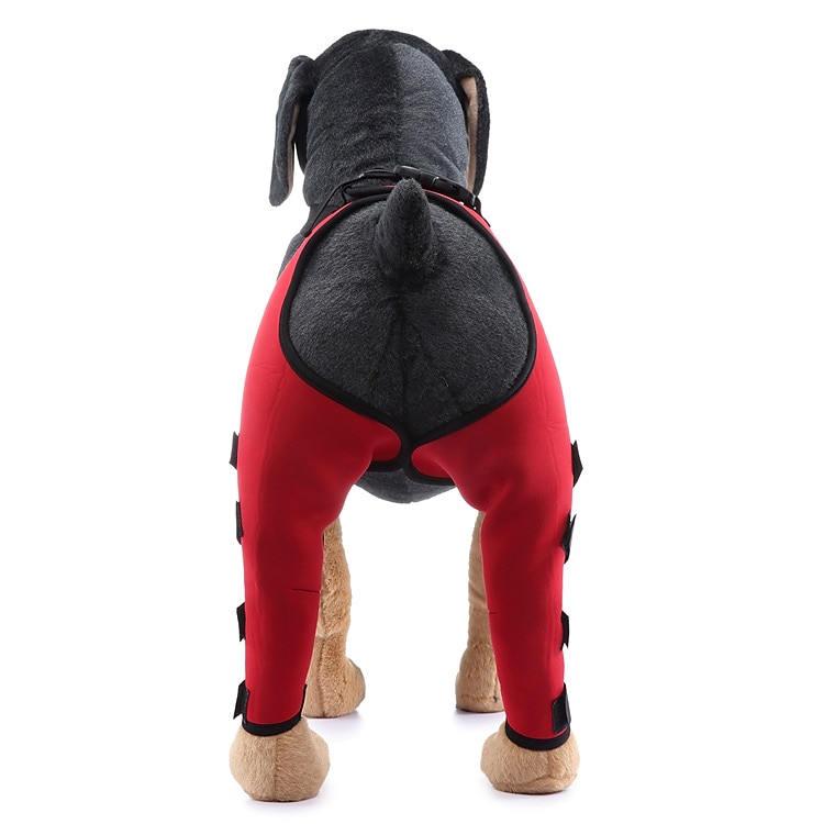 Hunder Tilbehør Mote Justerbare Bekvem Sport og friluftsliv Verneutstyr Sport Fritid / hverdag for Husky golden retriever Bichon Frisé Pommeran 2025 - $27.99 –P3