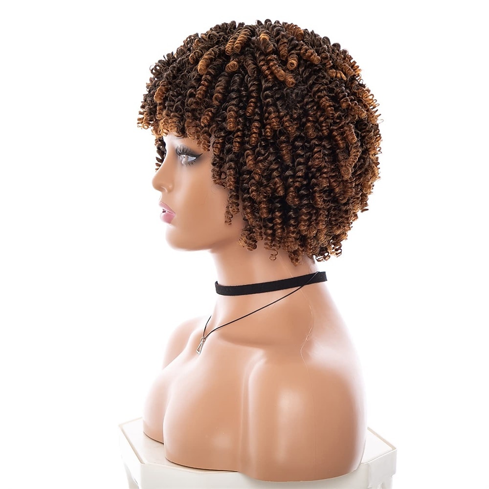 parrucche grigie per donne nere parrucche afro parrucche ricci corti parrucca riccia crespa con frangetta parrucche di capelli naturali del 2025 a $36.99 –P7