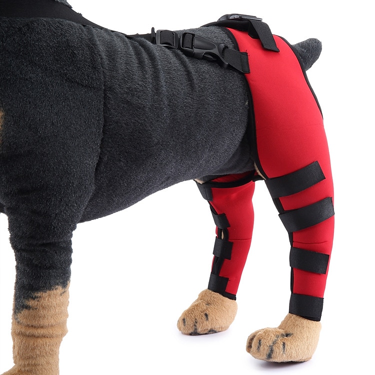 Hunder Tilbehør Mote Justerbare Bekvem Sport og friluftsliv Verneutstyr Sport Fritid / hverdag for Husky golden retriever Bichon Frisé Pommeran 2025 - $27.99 –P8