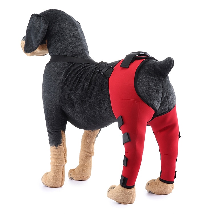Hunder Tilbehør Mote Justerbare Bekvem Sport og friluftsliv Verneutstyr Sport Fritid / hverdag for Husky golden retriever Bichon Frisé Pommeran 2025 - $27.99 –P12