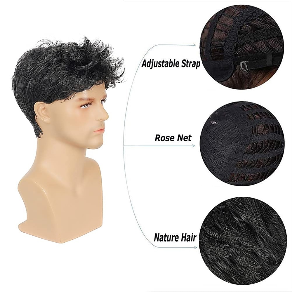 Mens Wigs Grey Short Layered Wig Syntheric Replacement Cosplay Costume Party Daily Wear Hair Wig 2026 - $24.99 –P9