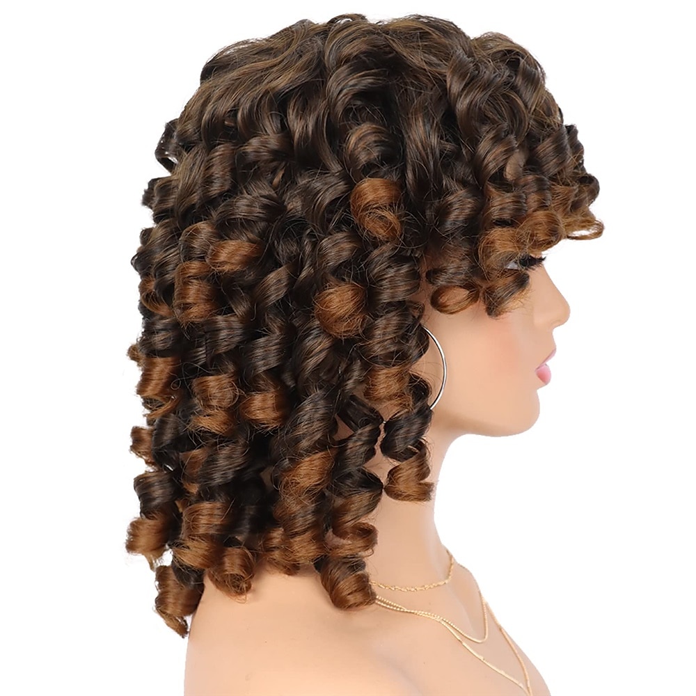 Wig Short Afro Curly Wigs for Black Women Dark Brown Curly Wig with Bangs Fluffy Shoulder Length Wigs Heat Resistant Synthetic Colorful Wigs for Daily Party Use 2025 - $28.99 –P3
