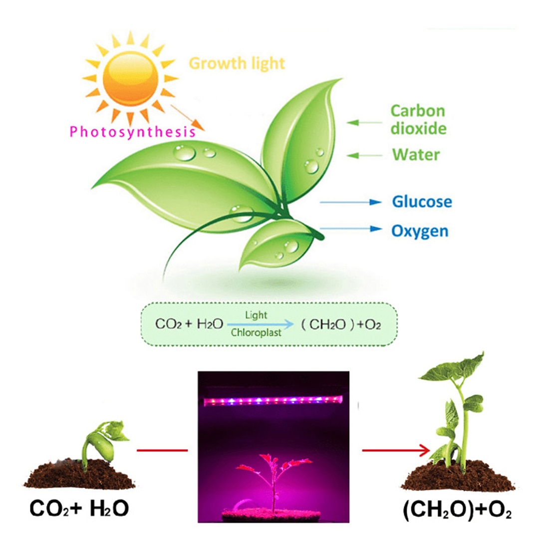 30cm T5 LED Grow Light - 6W Full Spectrum Phytolamp for Plants, Vegetables & Seedlings EU/US/UK/AU Plug AC85-265V 2026 - $29.99 –P6