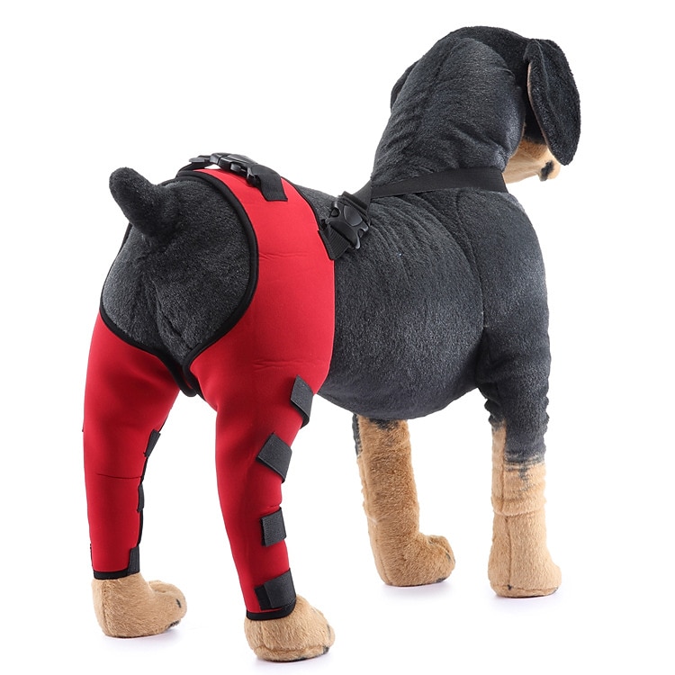 Hunder Tilbehør Mote Justerbare Bekvem Sport og friluftsliv Verneutstyr Sport Fritid / hverdag for Husky golden retriever Bichon Frisé Pommeran 2025 - $27.99 –P6
