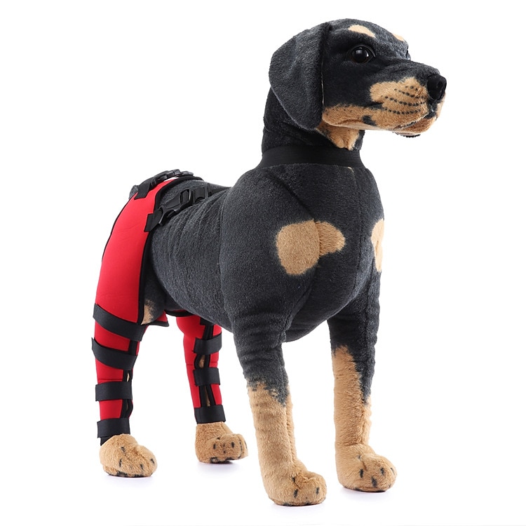 Hunder Tilbehør Mote Justerbare Bekvem Sport og friluftsliv Verneutstyr Sport Fritid / hverdag for Husky golden retriever Bichon Frisé Pommeran 2025 - $27.99 –P4