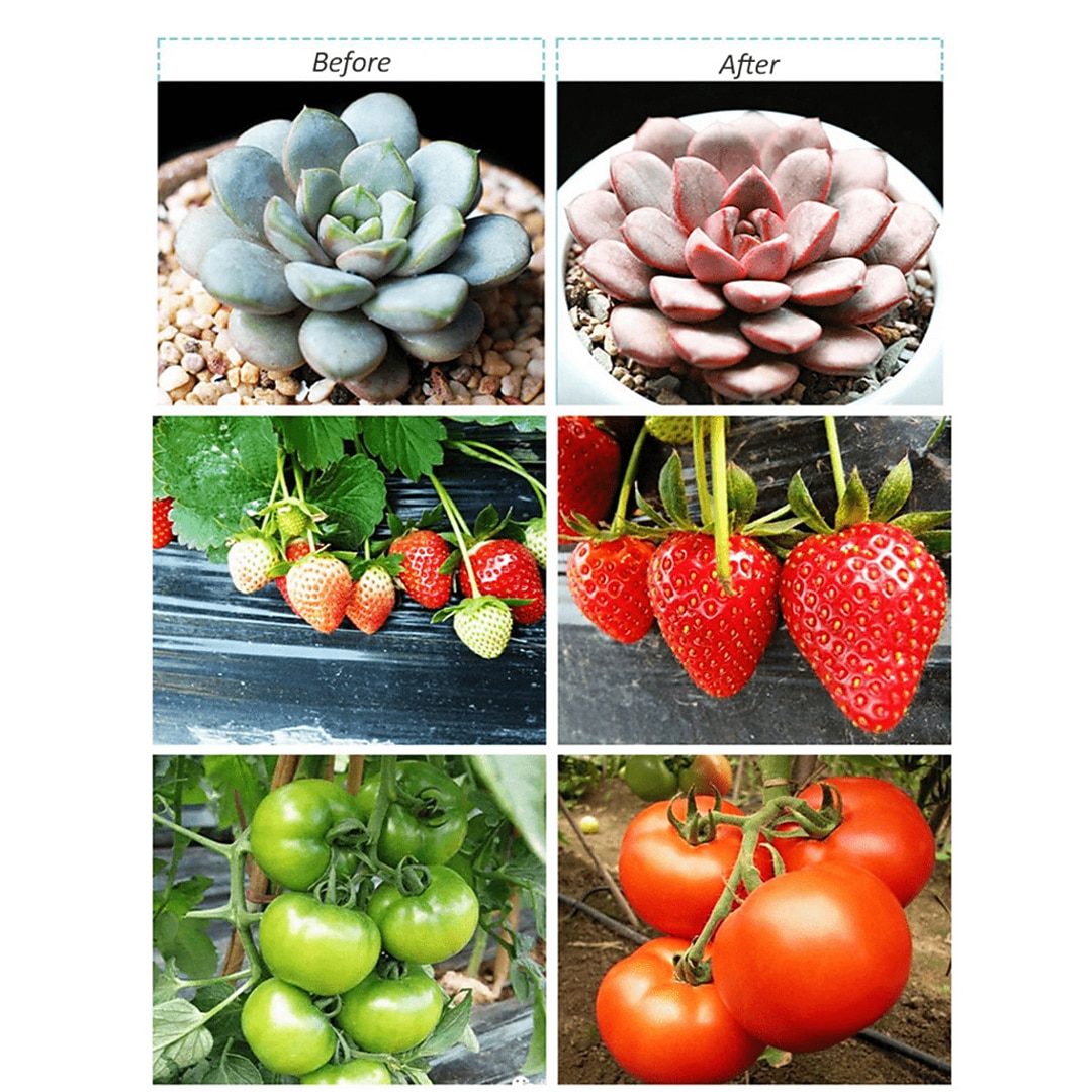 30cm T5 LED Grow Light - 6W Full Spectrum Phytolamp for Plants, Vegetables & Seedlings EU/US/UK/AU Plug AC85-265V 2026 - $29.99 –P13