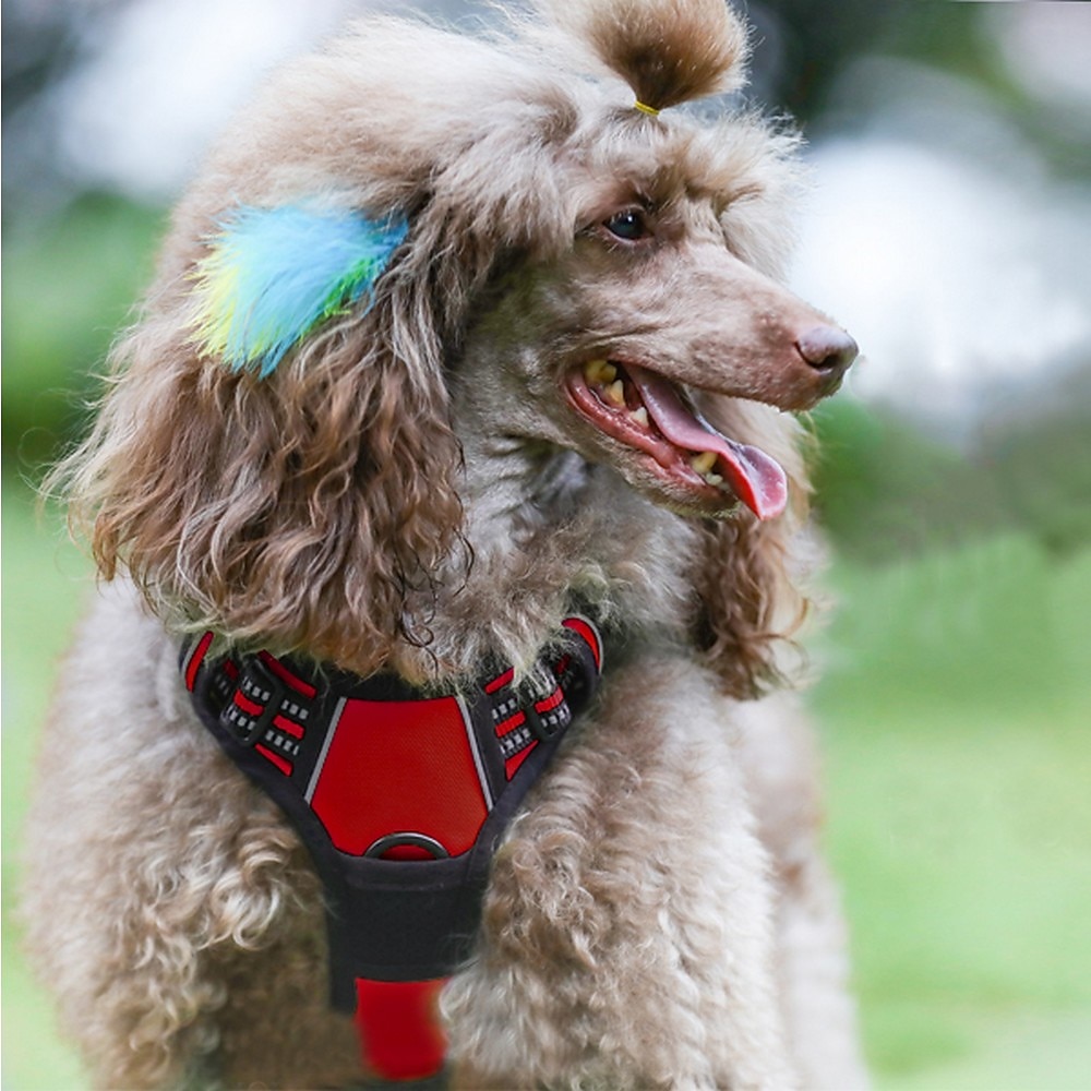 2025年 犬用 小型ペット用 N / A 犬しつけようカラー ハーネス＆リーシュ ハーネス N / A ダブルドッグリーシュ N / A ハスキー犬 ゴールデンレトリバー ダルメシアン ボクサー ドーベルマン  コレクション – $28.99 –P10