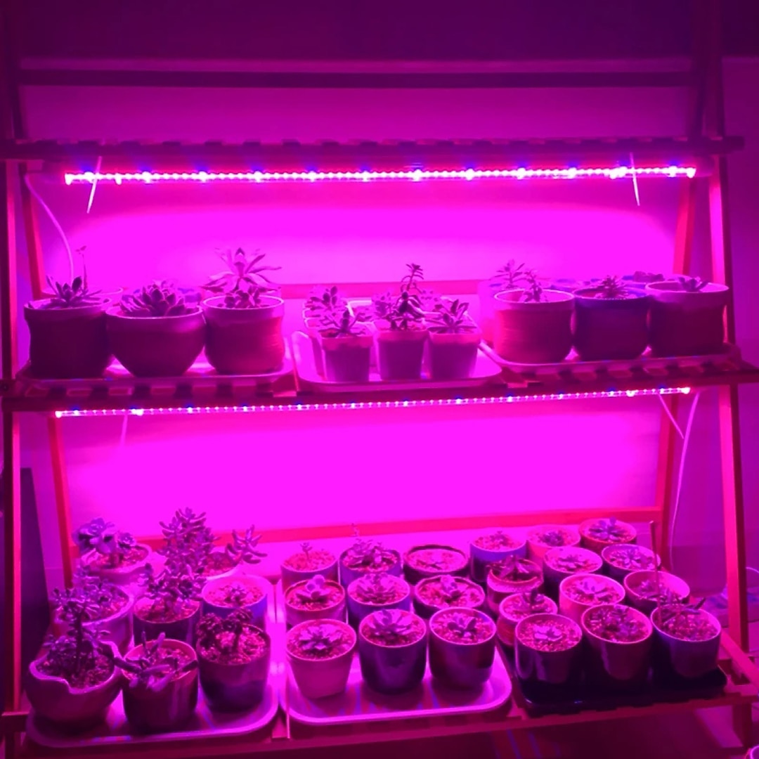 30cm led växtljus ac85-265v 6w t5 rör fullspektrum fytolampor för växter grönsaksblommor frön fytoplantor lampa led växtodlingslampa eu us uk au plug 2025 - $26.99 –P5