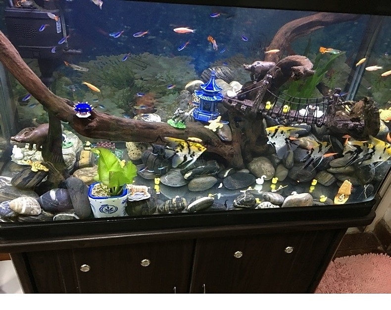 2025年 高品質の水槽造園シミュレーションロープ吊り橋水族館装飾樹脂橋タートルクライミングプラットフォーム  コレクション – $15.49 –P5