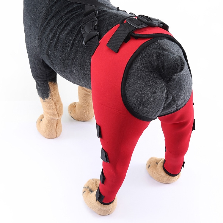 Hunder Tilbehør Mote Justerbare Bekvem Sport og friluftsliv Verneutstyr Sport Fritid / hverdag for Husky golden retriever Bichon Frisé Pommeran 2025 - $27.99 –P7