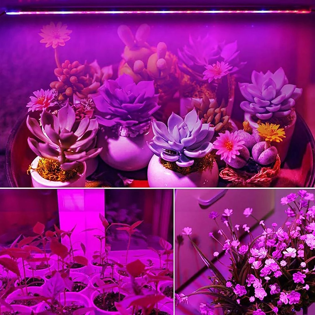 30cm led växtljus ac85-265v 6w t5 rör fullspektrum fytolampor för växter grönsaksblommor frön fytoplantor lampa led växtodlingslampa eu us uk au plug 2025 - $26.99 –P6