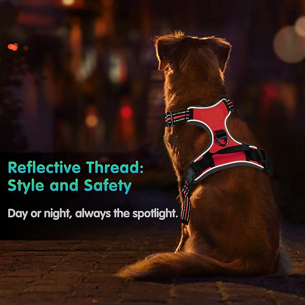 2025年 犬用 小型ペット用 N / A 犬しつけようカラー ハーネス＆リーシュ ハーネス N / A ダブルドッグリーシュ N / A ハスキー犬 ゴールデンレトリバー ダルメシアン ボクサー ドーベルマン  コレクション – $28.99 –P7