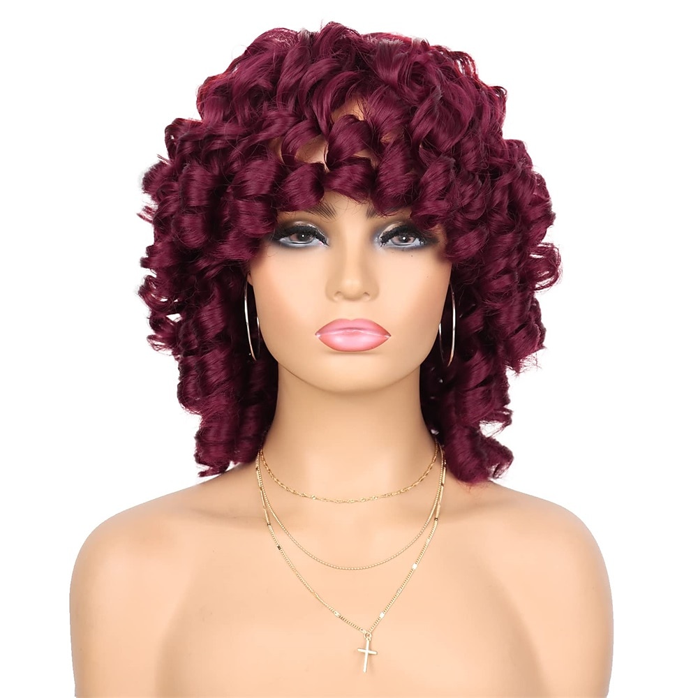 Wig Short Afro Curly Wigs for Black Women Dark Brown Curly Wig with Bangs Fluffy Shoulder Length Wigs Heat Resistant Synthetic Colorful Wigs for Daily Party Use 2025 - $28.99 –P19