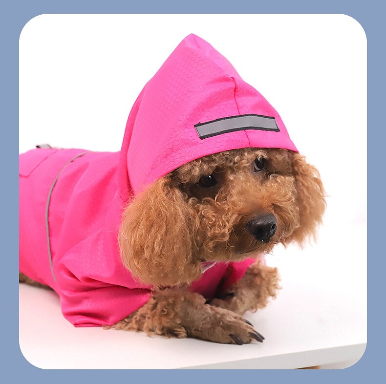 Cachorros Gatos Capa de Chuva Jaqueta de Chuva Moda Clássico Reflector Prova-de-Água Macio Lavável Confortável Ao ar livre Casual / Diário Roupas para cães for Bichon Frise Pomerânia Animais de de 2025 por $15.99 –P3