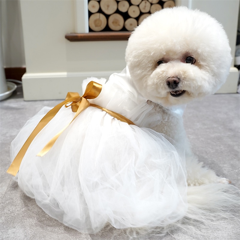 Hund Kleid Hund Rock Tüll Rock Pet Prinzessin Kleid Tutu Rock Teddy Chihuahua Nette Süße Kleid Hund Kleid Up Kostüm für Kleine Hunde 
