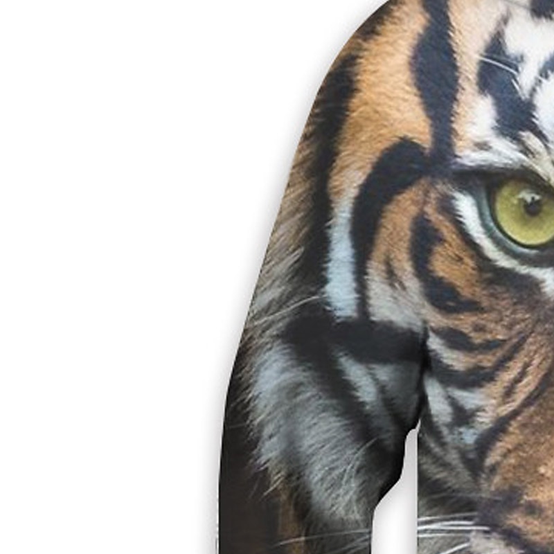 Pojkar 3D Djur Tiger Huvtröja Långärmad 3D-tryck Vår Höst Aktiv Sport Mode Barn 3-13 år Utomhus Dagligen Inomhus Normal 2025 - $18.99 –P5