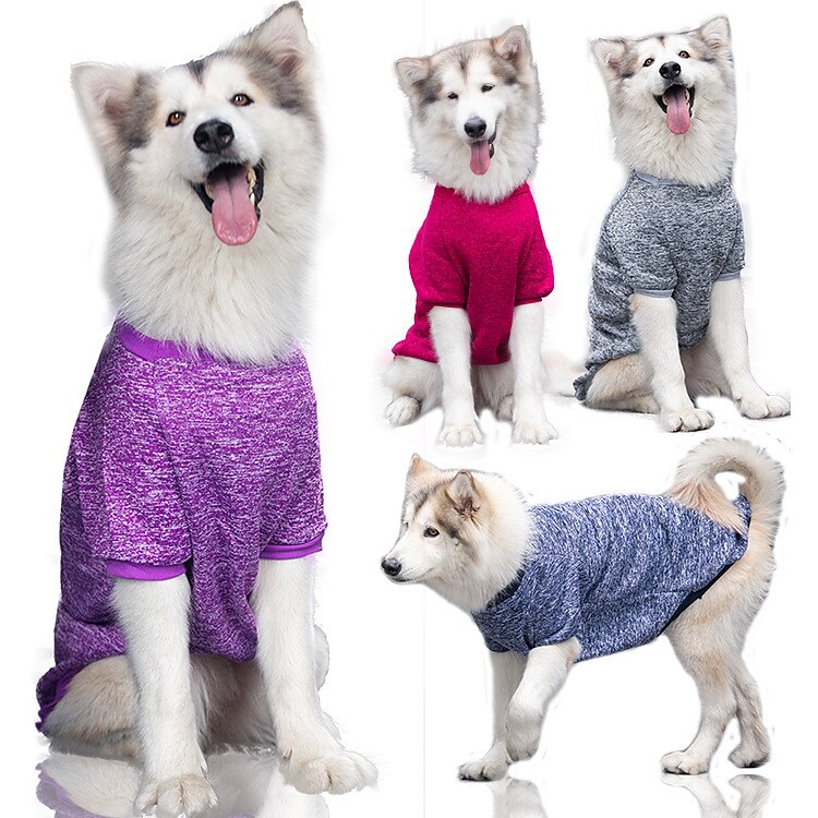 Câini Pisici Hanorca Modă Drăguţ Iarnă Cald Respirabil Απαλό Lavabil Comfortabil În aer liber Casul / Zilnic Îmbrăcăminte pentru câini for Bichon Frise Pomeran un Animalut Fluture Small 2025 - $20.99 –P1