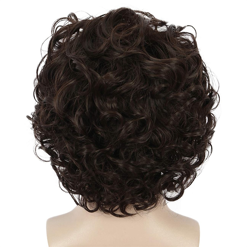 parrucca da uomo divertente parrucca da uomo corta riccia marrone parrucche anime cosplay parrucca di capelli cosplay parrucche di halloween del 2025 a $20.99 –P6