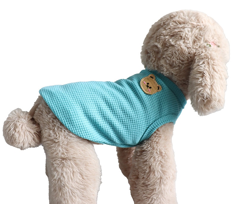 Câini Pisici Hanorca Γιλέκο Modă Drăguţ Απαλό Lavabil Comfortabil În aer liber Casul / Zilnic Îmbrăcăminte pentru câini for Bichon Frise Pomeran un Animalut Fluture Small 2026 - $15.49 –P4