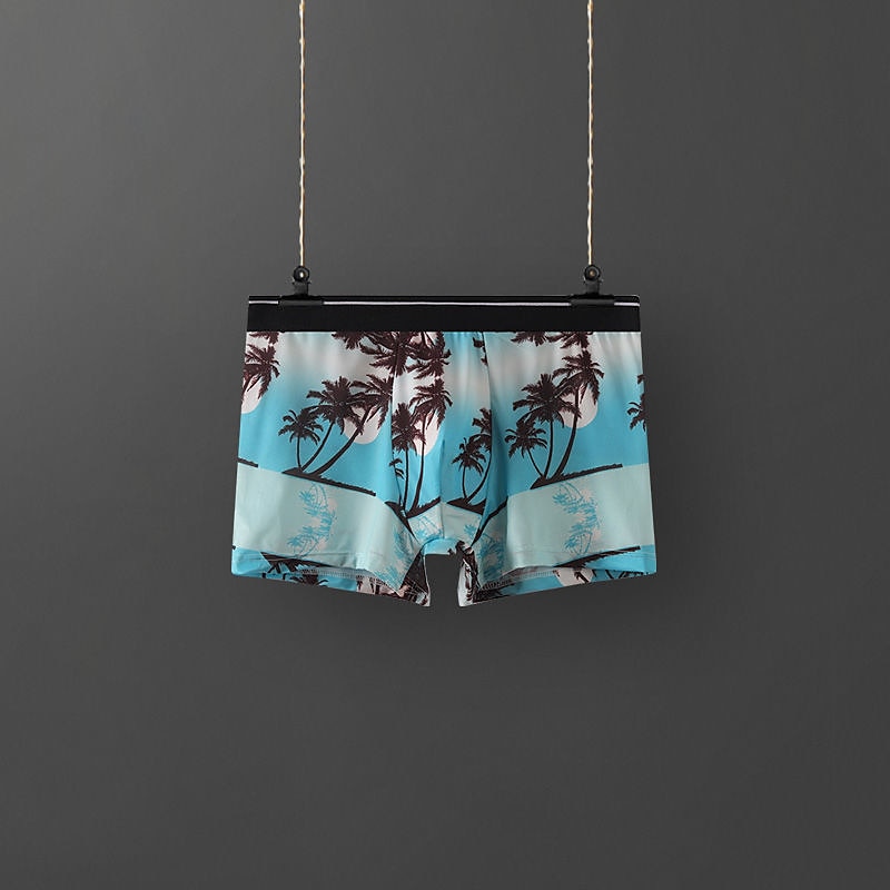 Per uomo 1 confezione Biancheria intima Mutandine di base Boxer Di base Poliestere Antiparassitario A prova di perdita Alfabetico Vita normale azzurro cielo Nero del 2025 a $4.49 –P11