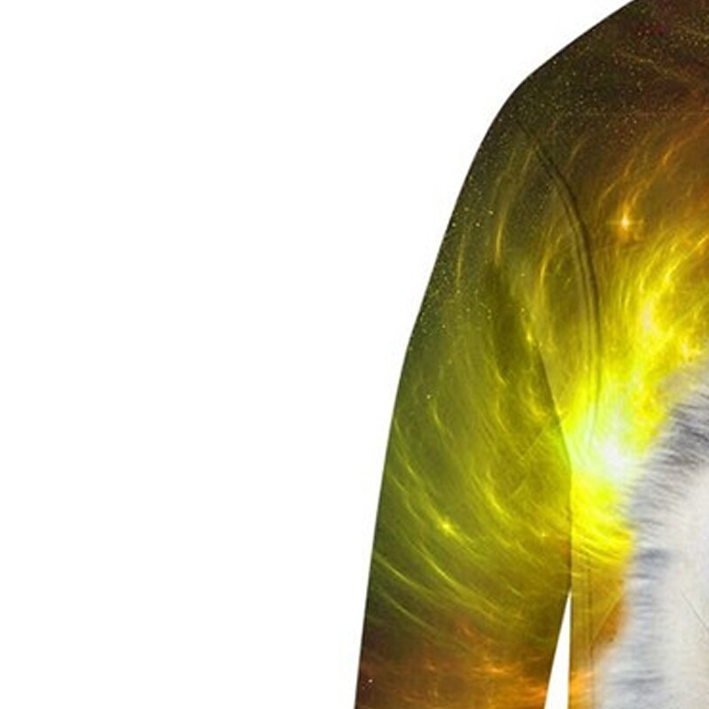 Barn Pojkar Huvtröja Långärmad 3D-tryck Hund Djur Ficka Gul Barn Blast Höst Vår Aktiv Mode Dagligen Dagligen Inomhus Utomhus Normal 3-13 år 2025 - $18.99 –P5