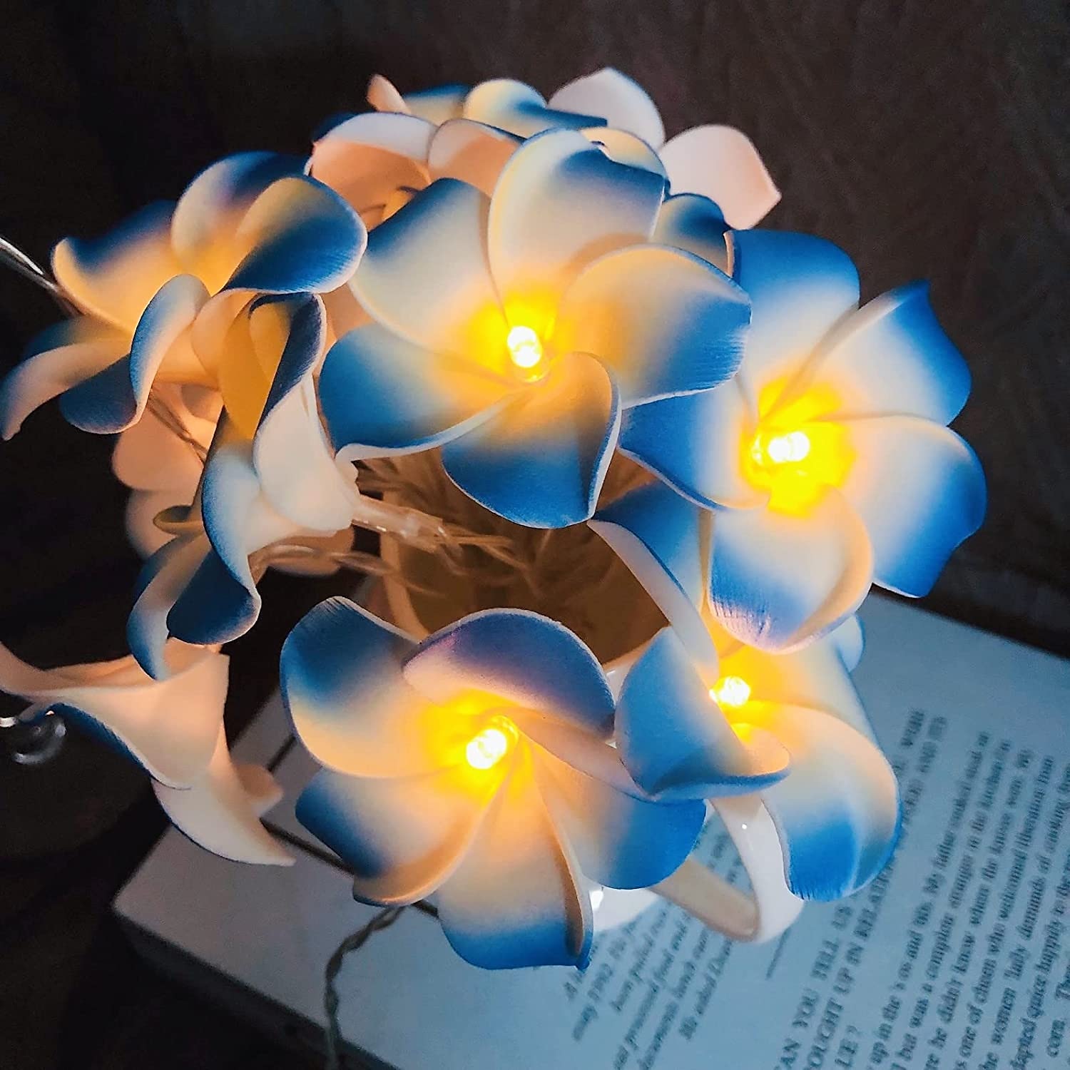 3m 20 led luci stringa di fiori luce frangipani per la decorazione domestica luce fata ghirlanda ghirlanda lampada da decorazione per feste di nozze all'aperto del 2025 a ₽1774.92 –P8