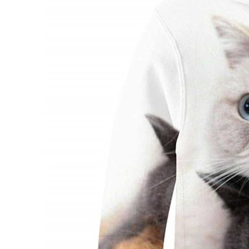 Boys 3D Animal Cat Hoodie Long Sleeve 3D Print Spring Fall Active Sports Fashion Kids 3-13 Years Outdoor Daily Indoor Regular Fit 2026 - $18.99 –P5