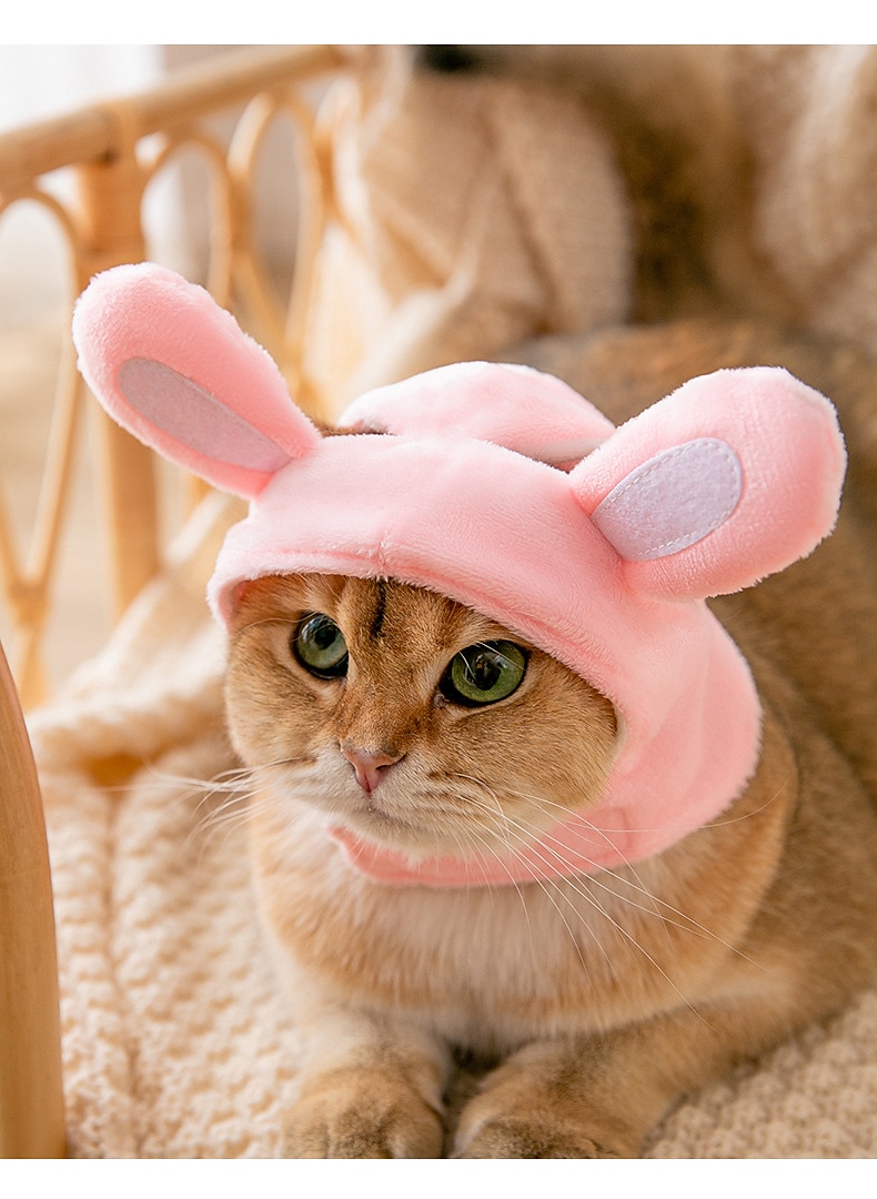 Σκυλιά Γάτες Καπέλα, Κάπες & Μπαντάνες Μοντέρνα χαριτωμένο στυλ Αναπνέει Moale Πλένεται Άνετο Πάρτι Αργίες Καθημερινά Ρούχα για σκύλους 2025 - $10.99 –P8