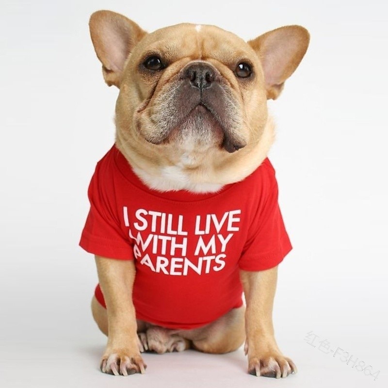 Psy Koty T-shirt Moda Śłodkie Oddychający Miękka Zmywalny Wygodny Na zewnątrz Codzienne Ubranka dla psów for Bichon frise Szpic miniaturowy szczeniaków i młodych kotów Motyl Small 2025 - $15.49 –P15