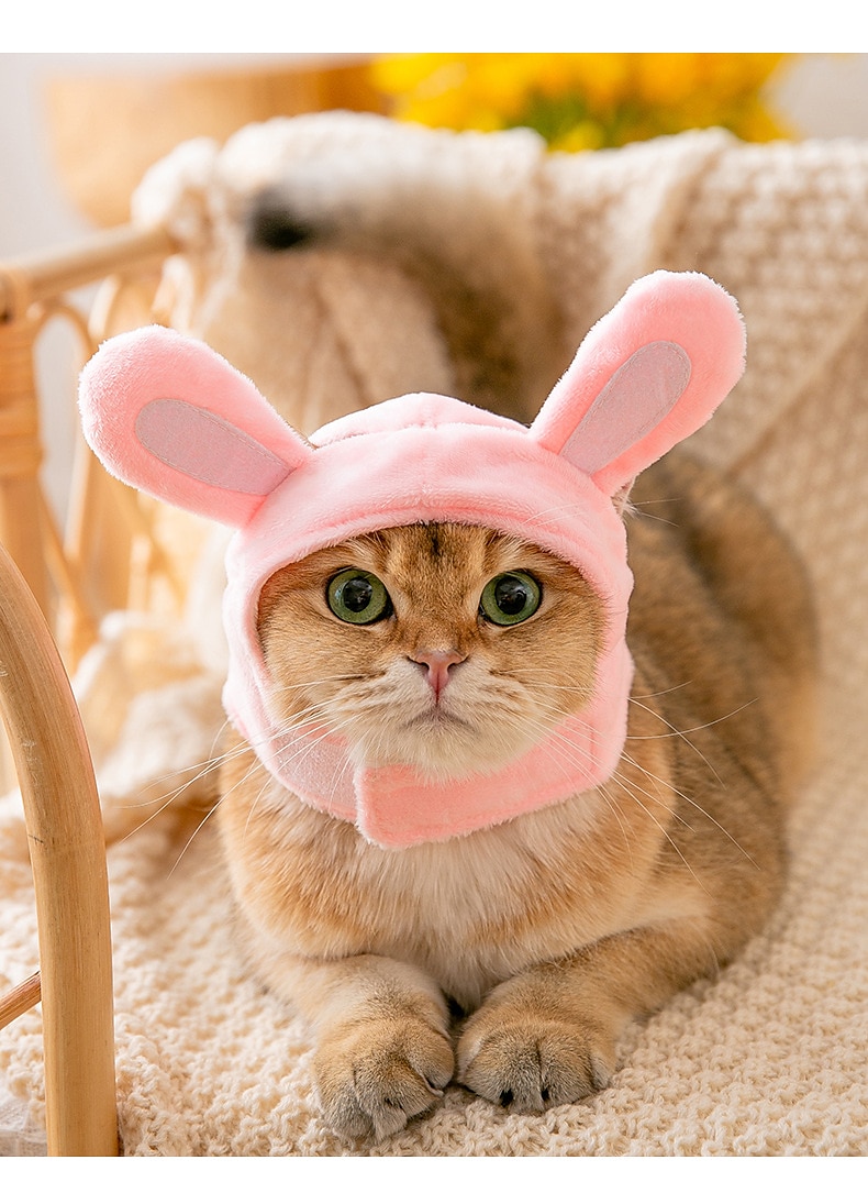 Σκυλιά Γάτες Καπέλα, Κάπες & Μπαντάνες Μοντέρνα χαριτωμένο στυλ Αναπνέει Moale Πλένεται Άνετο Πάρτι Αργίες Καθημερινά Ρούχα για σκύλους 2025 - $10.99 –P7