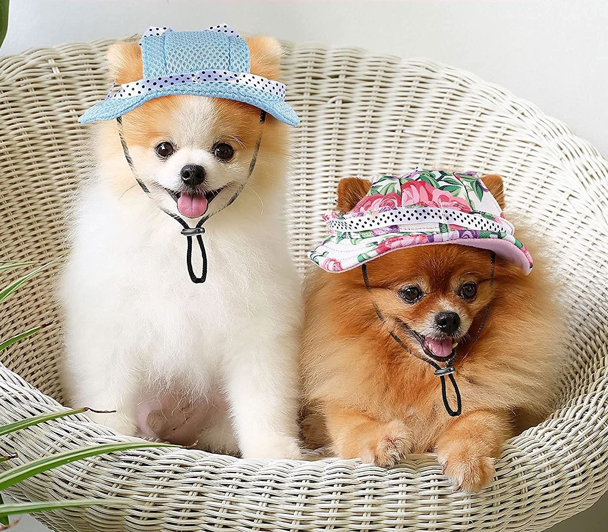 Dog Cat Pets Hats, Caps & Bandanas Bandanas & Hats Sport Hat Visor Cap Puppy Clothes Fashion Sports & Outdoors Dog Clothing for Husky Labrador Alaskan Malamute Golden Retriever Dalmatian 2025 - $15.49 –P3
